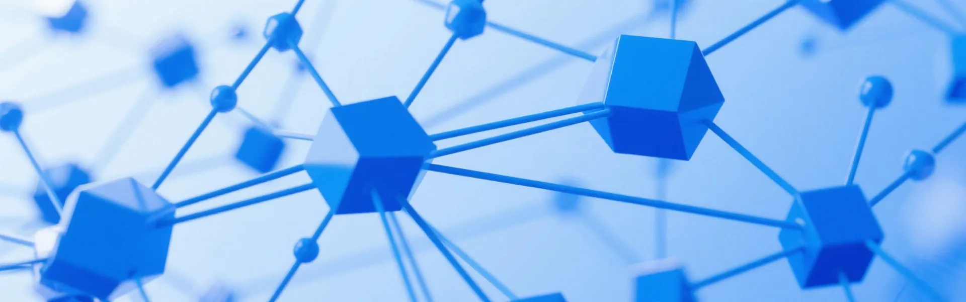 Network Background
